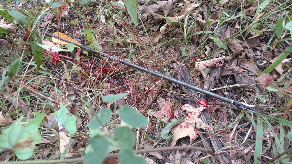 5968B8BE-4A10-4B9B-8578-7957332CE659