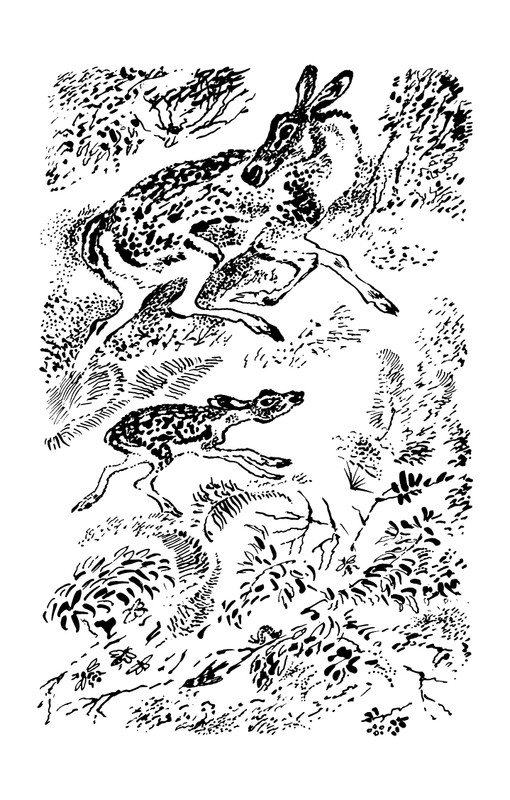 1993-page-0028