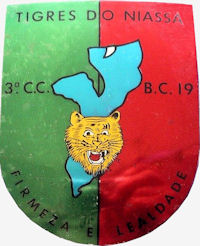 BCac19-3-CCac