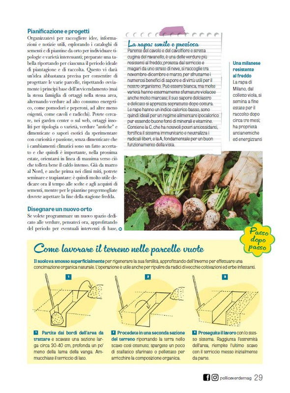 Pol Ver Dic 2023-Gen 2024 (6)