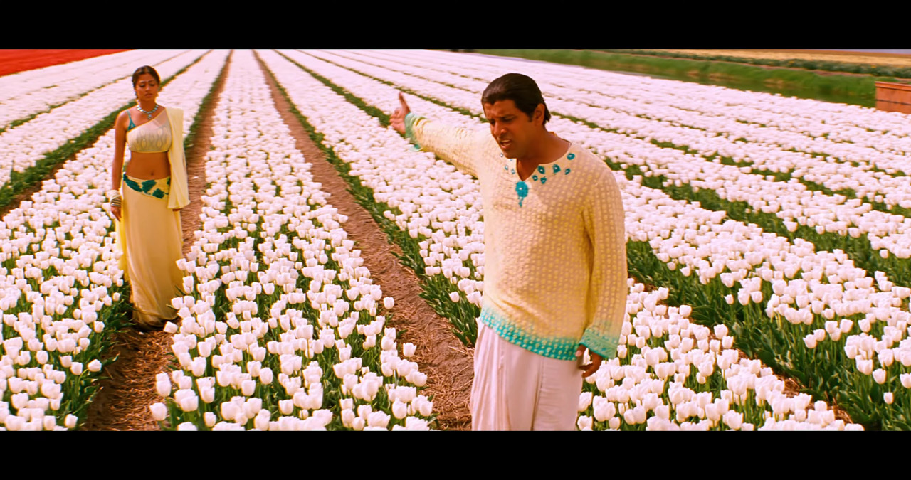 VideoCapture_20241122-195825