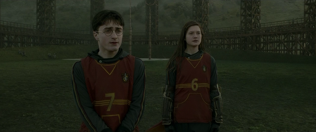 Harry Potter and the Half-Blood Prince.2009.720p.BluRay.x264-LEONARDO_[scarabey.org].mkv - 00.44.58.