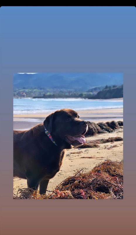 Screenshot_20210108_122929