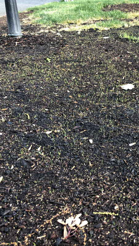 8333C964-11B2-473E-A1DA-8487392A24AA