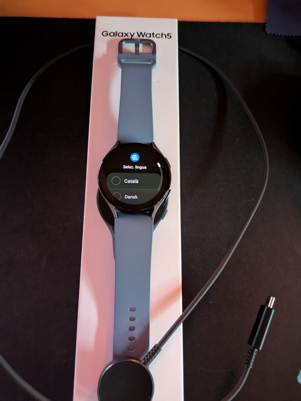 PXL_20241110_152852407