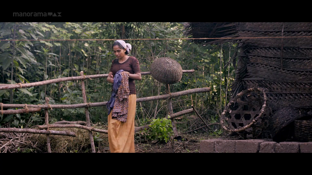 vlcsnap 2026 02 06 18h04m00s453