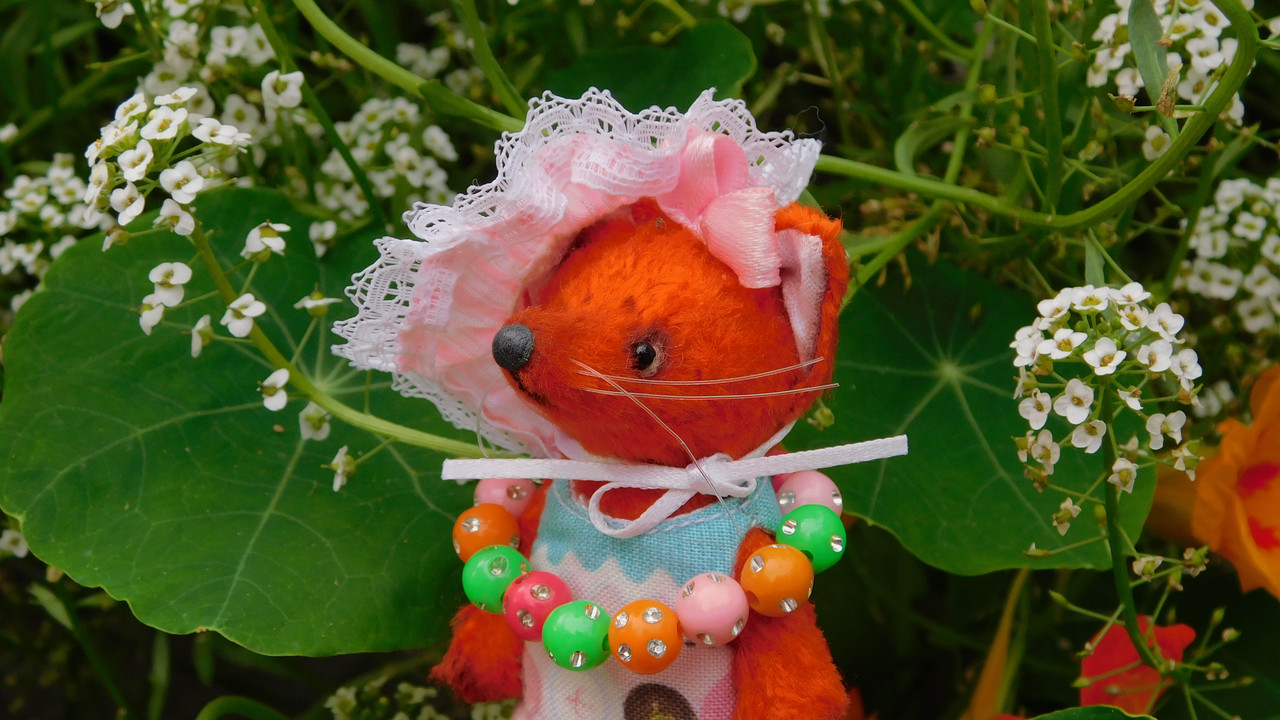 Дачное и  к Хелл сентябрь 2023 207