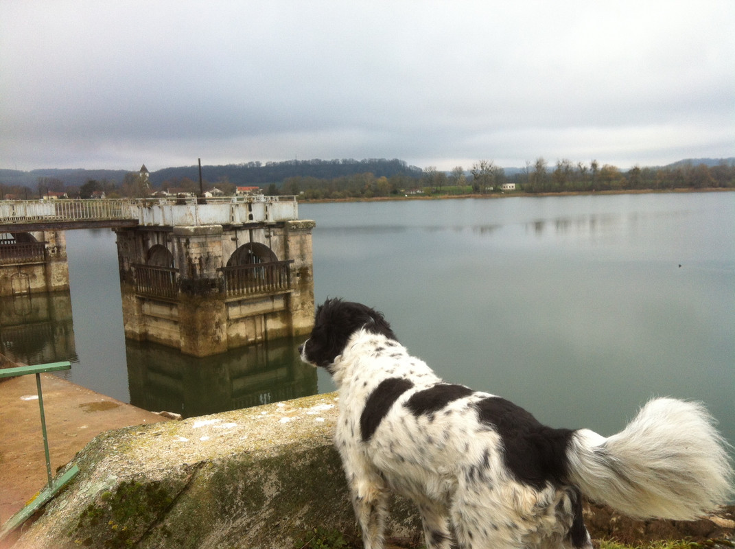 7D51D61F-7C93-4C2B-87B1-31A45DB98C7A