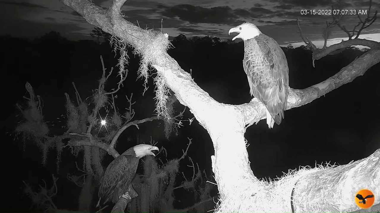 Webp.net-gifmaker (4)