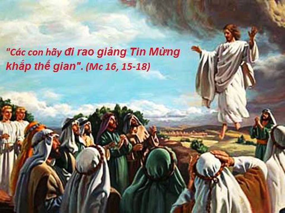 2019-01-26: Chúa Nhật 3C Quanh Năm