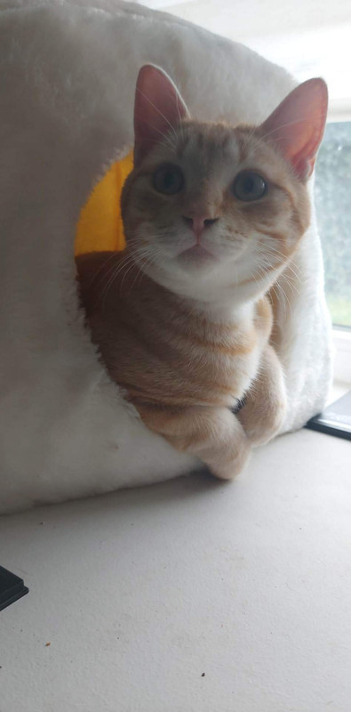 received_1194993954510100