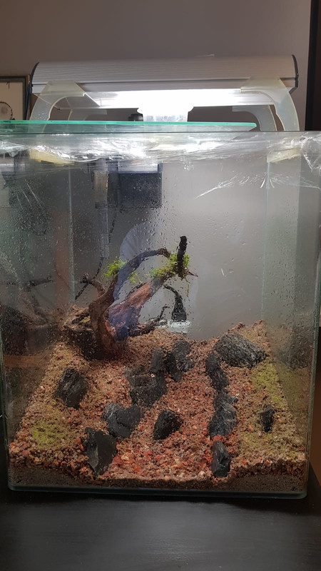 5E76D001-9594-4C13-8334-1A94D6C0BB0B