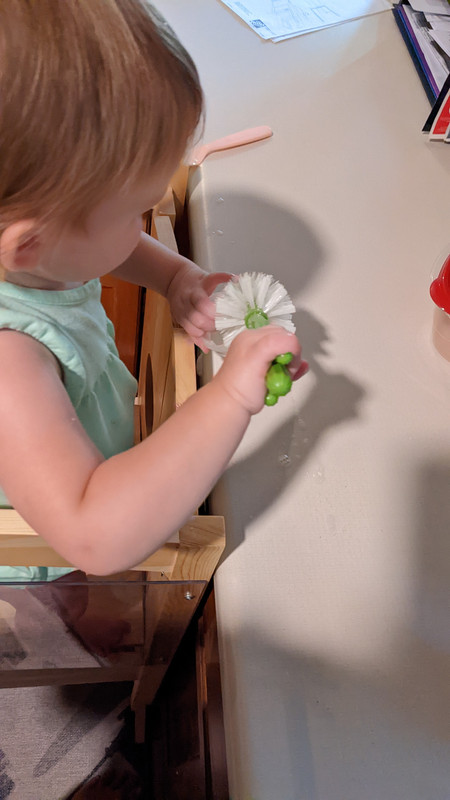 PXL_20220918_205818163.MP