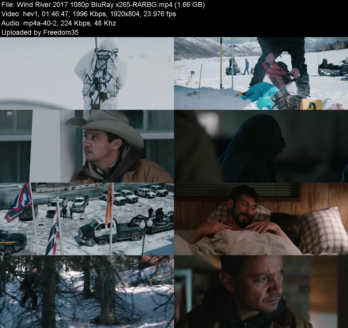 Wind-River-2017-1080p-Blu-Ray-x265-RARBG