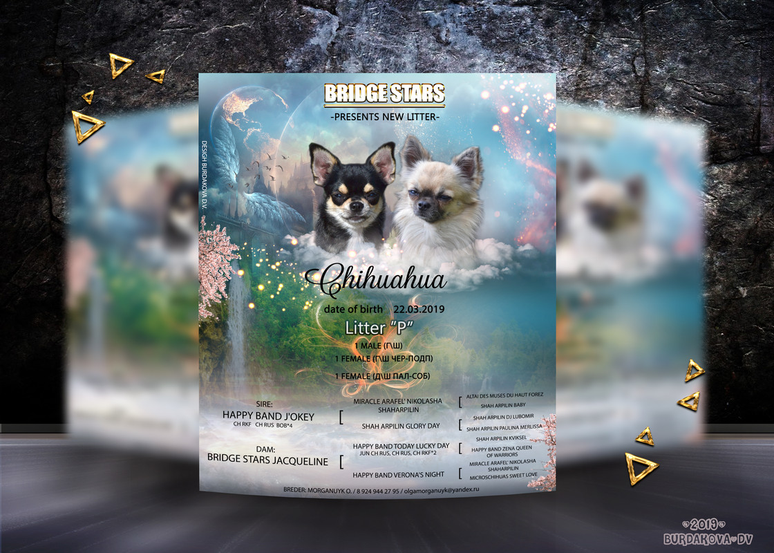 презен чихи