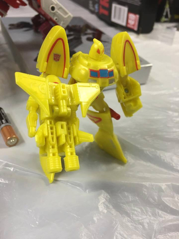 13495109_284581821892252_5985451651673866551_n