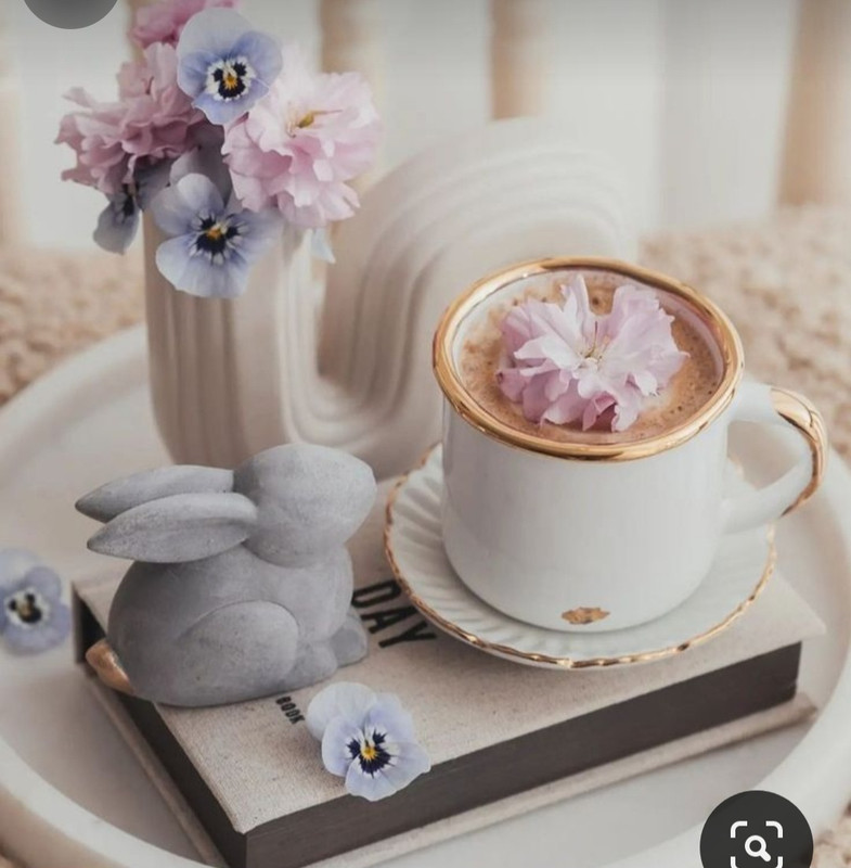 Screenshot_20240424_225521_Pinterest