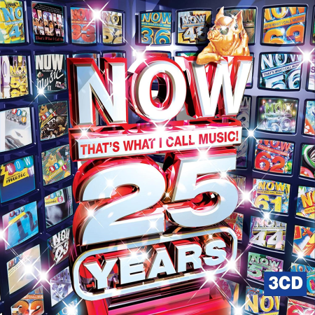 VA - Now That's What I Call Music! 25 Years (2008)