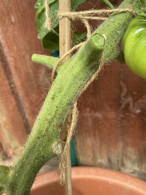 802B3DAF-5ECF-4039-BD6E-CDD235497F21