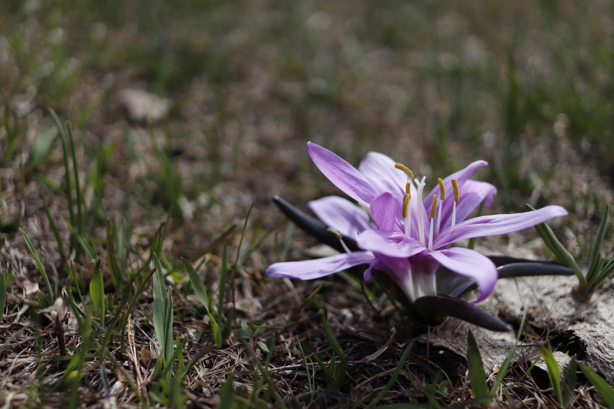 721C5B31-A1AA-4714-8BAF-4A8AAFEF4D5B