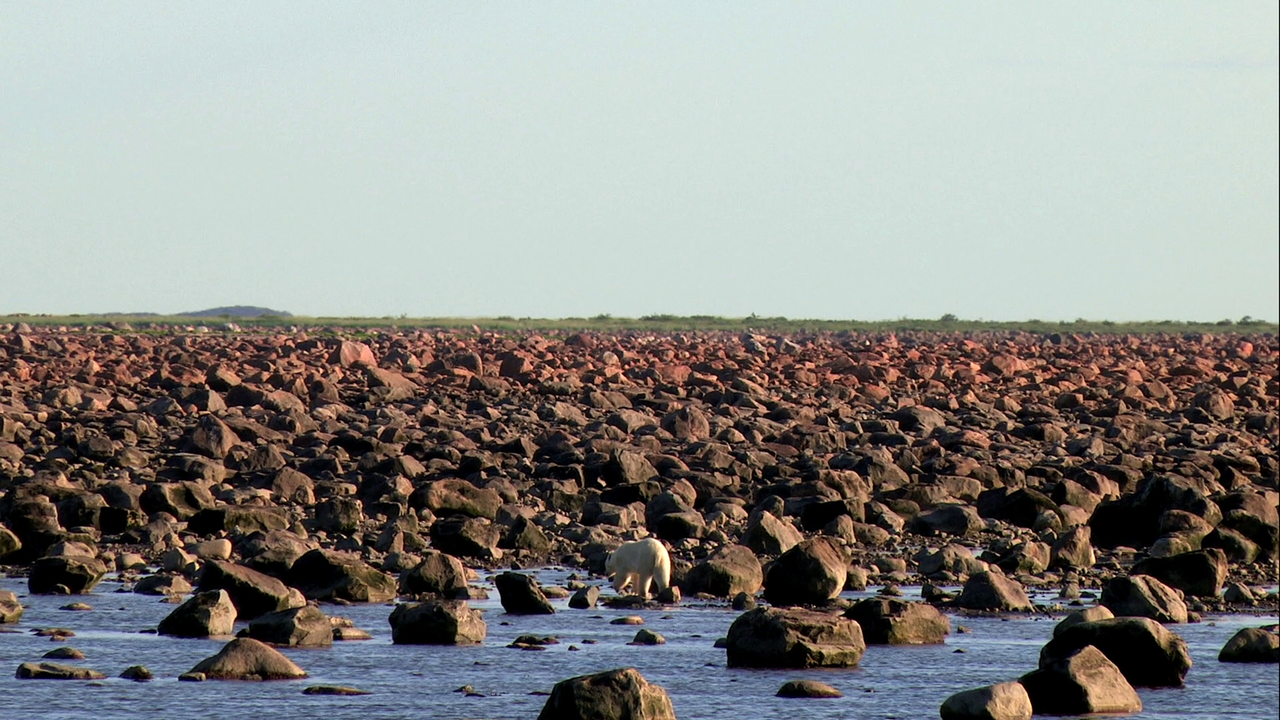 vlcsnap-2023-08-22-18h33m59s407