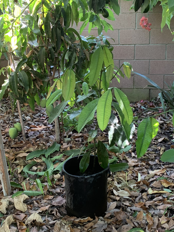 115BBFE8-AC11-4D8D-8871-3FE494CEF104