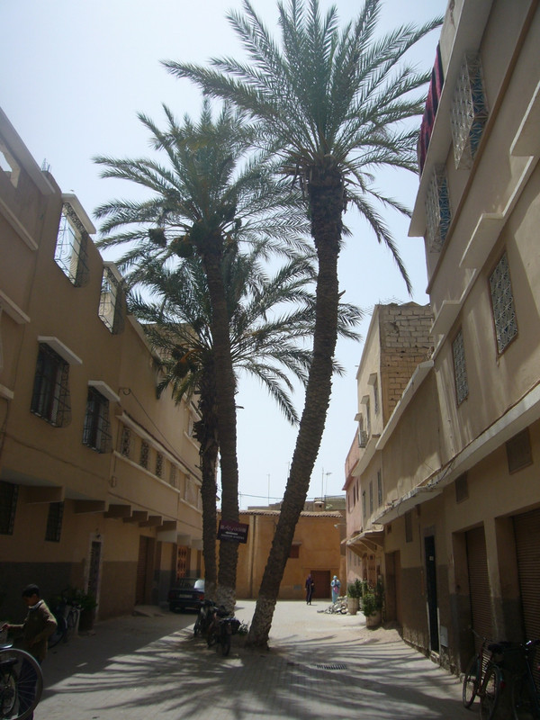 Historia : Taroudant, la ciudad rebelde, Ciudad-Marruecos (6)