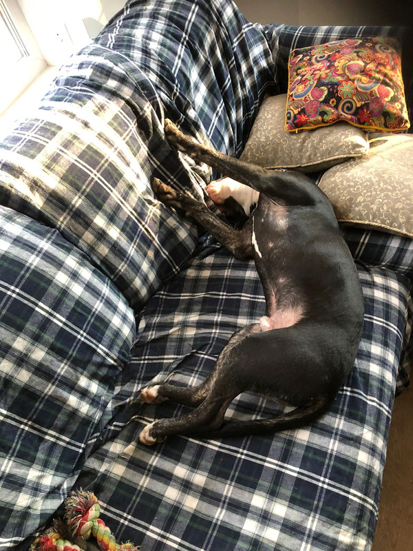 DA568A2F-030E-448F-B94F-099832E98BB2