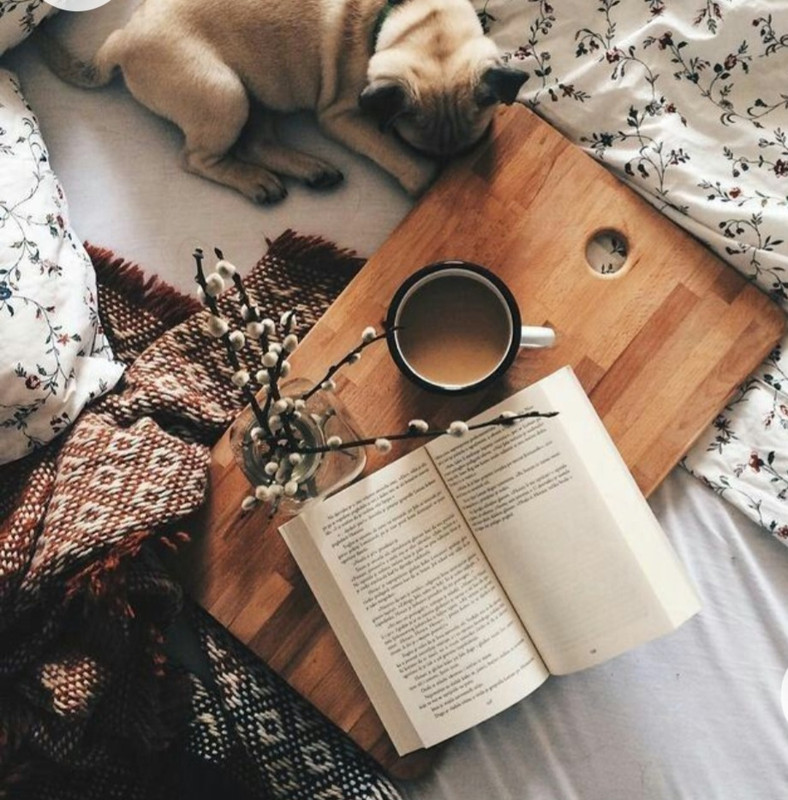 Screenshot_20230211_142717_Chrome