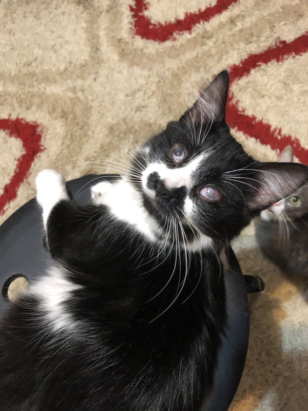 8F990E16-D561-4405-8EF8-9BE68419A011