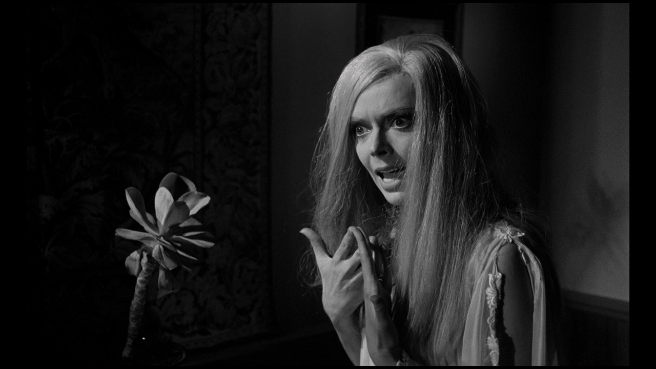 vlcsnap-2023-09-30-19h47m18s125