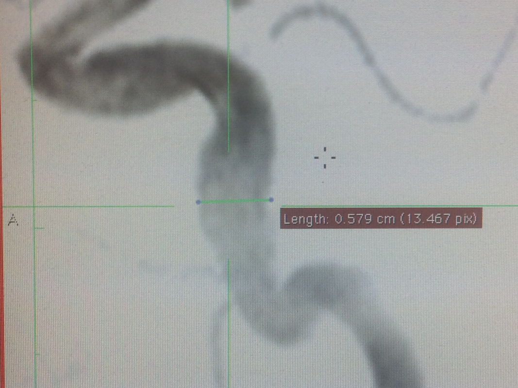 E7504ABC-C39F-46F9-B799-53E0D81CC56F