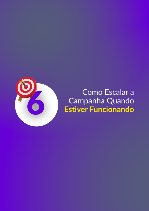 Módulo 6: Como escalar campanhas sem perder qualidade