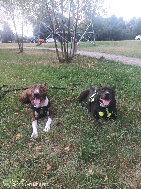 DFC57113-0500-4693-AC80-DA4986AEC9DA