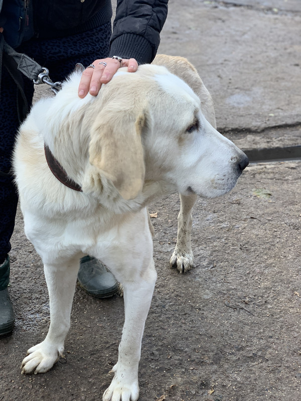 9F545EFA-938B-468A-B7A7-3006E45A2A1E