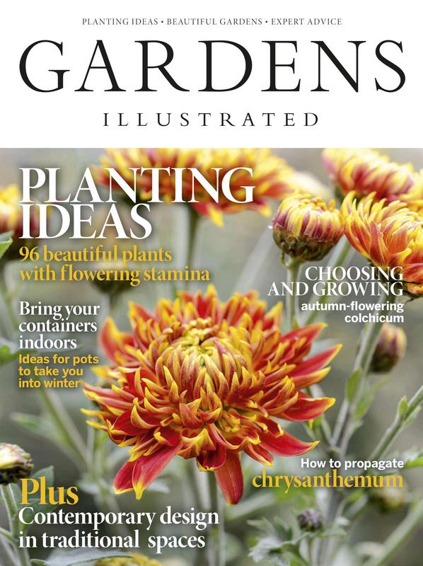 Gardens-Illustrated-November-2019.jpg