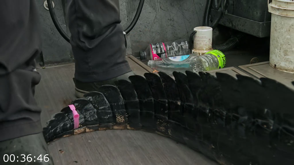 [Image: 4b1sygpev7z9.png]