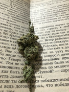 7837566D-6DBD-4B42-864A-A721CE6823ED