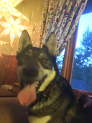 53353716-194E-42CC-8B46-5C86D7C91A54