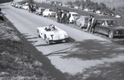 Targa Florio (Part 5) 1970 - 1977 - Page 2 1970-TF-218-Zanetti-Pianta-20