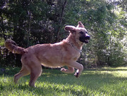 [Image: Dolly-4.jpg]