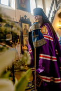 photo-2026-08-28-22-47-12