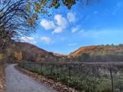 PXL_20211024_144125762.PORTRAIT