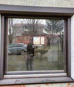 IMG-20230316-103439