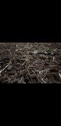 Screenshot-20260830-013437-Gallery