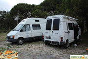 IMG-4275