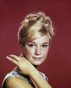 Yvette-Mimieux-c48