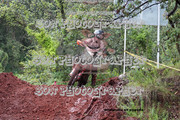 IMG-6317