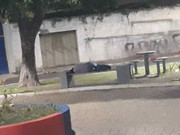 30.1.crashing at the park