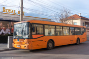 IMG-5416
